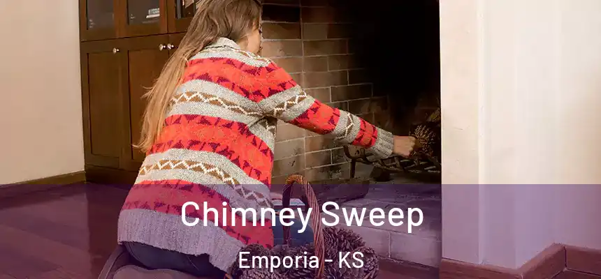  Chimney Sweep Emporia - KS