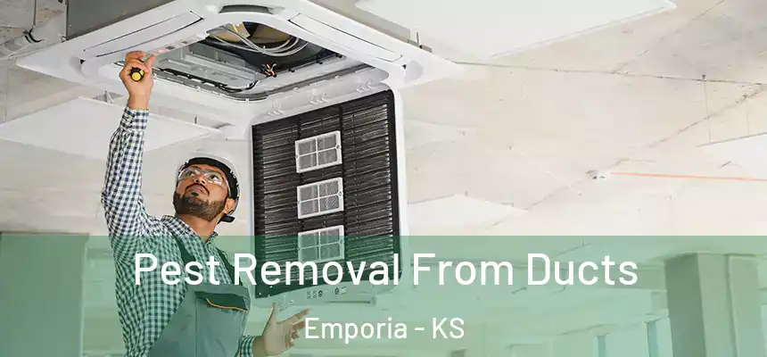  Pest Removal From Ducts Emporia - KS