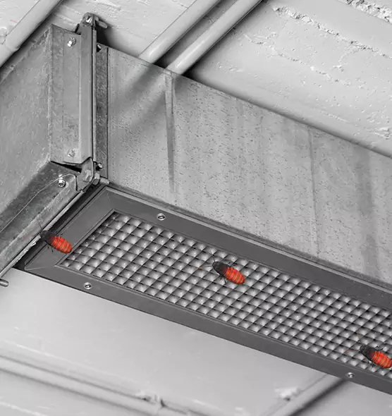 About Air Duct Cockroach Removal in Emporia, KS