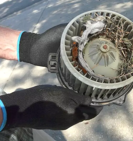 About Air Duct Rat Removal in Emporia, KS