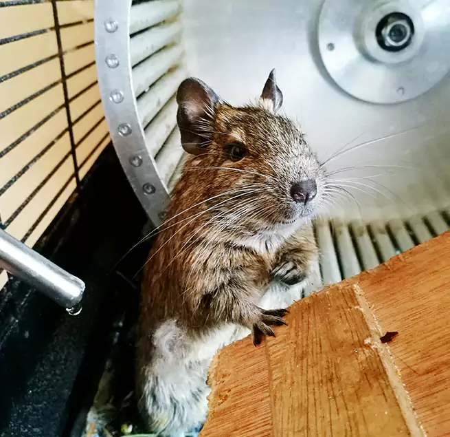 Why Homeowners & Businesses Trust Us Emporia, KS